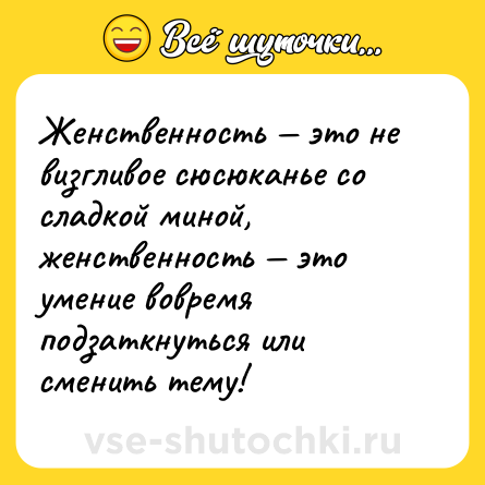Шутка: Женственность — это не визгливое сюсюканье со сладкой миной, женственность — это умение вовремя подзаткнуться или сменить тему!