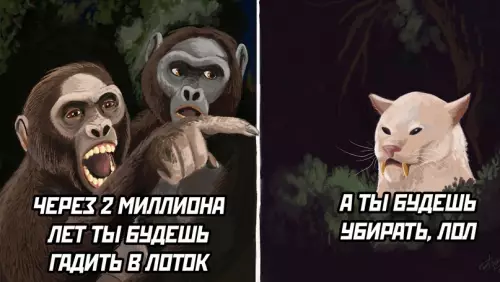 Смешная картинка №691321 Две женщины и кот