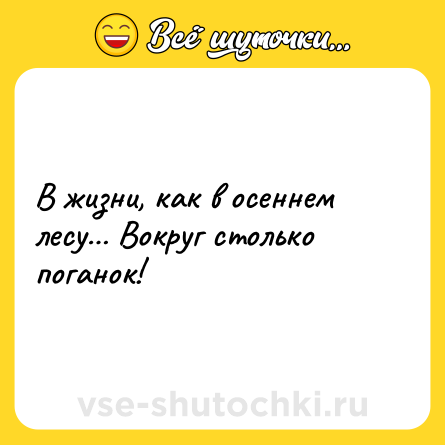 Шутка: В жизни, как в осеннем лесу… Вокруг столько поганок!