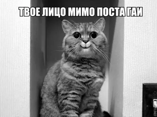 Смешная картинка №209223