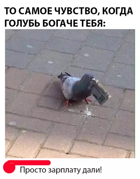 Смешная картинка №298207