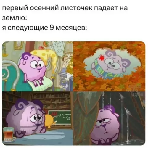 Осень пришла, а депрессия пришла раньше 🍂😭 - первый осенний листик падает на землю: я следующие 9 месяцев: