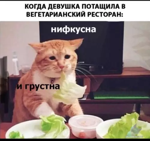 Смешная картинка №320930