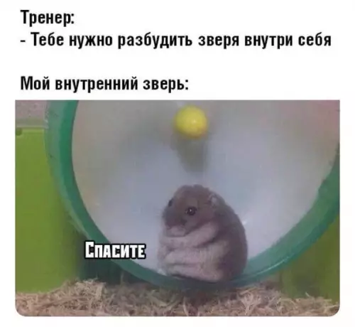 Смешная картинка №483598 такие дела