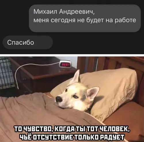 Смешная картинка №521160