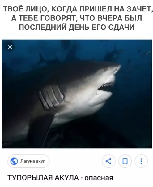 Смешная картинка №302604