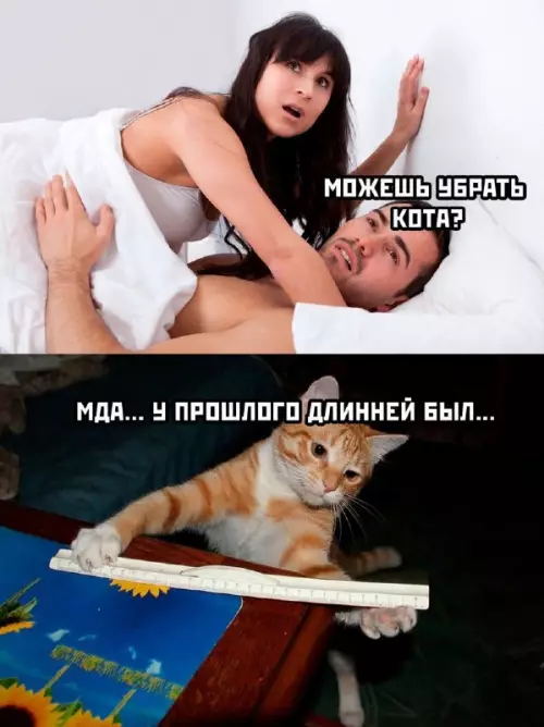 Смешная картинка №682591
