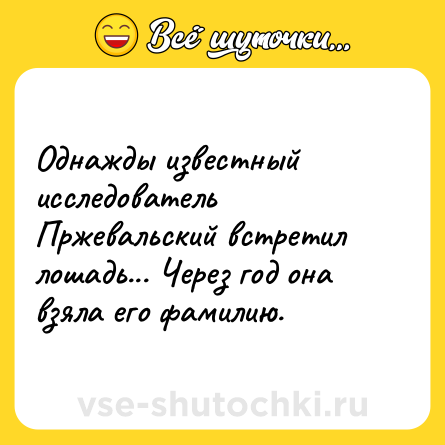 Шутка: Однажды известный исследователь Пржевальский встретил лошадь... Через год она взяла его фамилию.