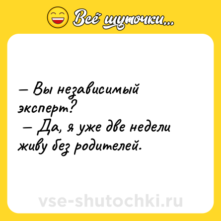 Шутка: — Вы независимый эксперт? <br> — Да, я уже две недели живу без родителей.