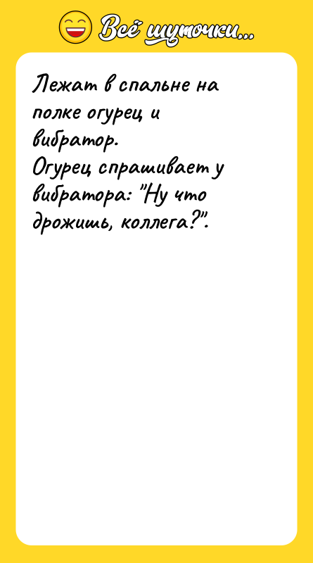 Лежат в спальне на полке огурец и вибратор. Огурец спрашивает