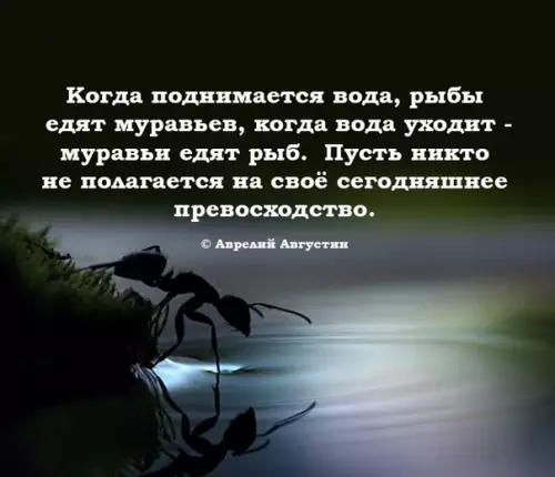 Смешная картинка №443314 Актуально как никогда.