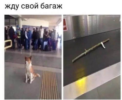Смешная картинка №372350