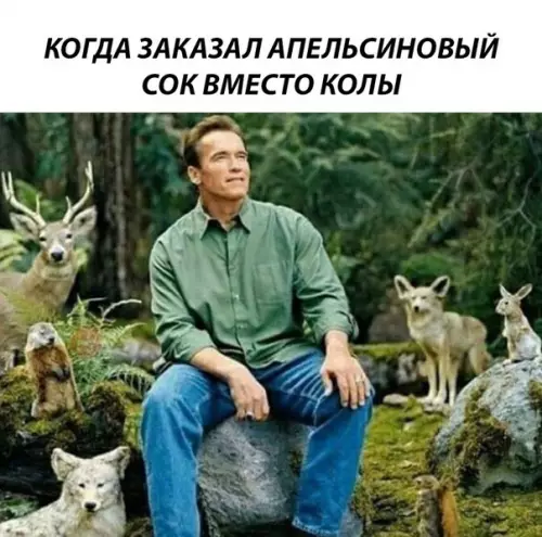 Смешная картинка №262394