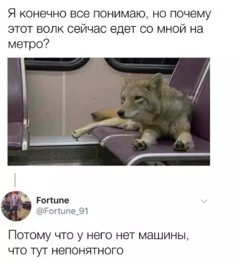 Смешная картинка №266015