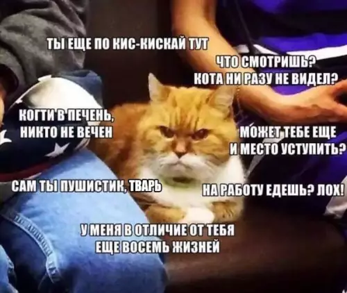 Смешная картинка №201193