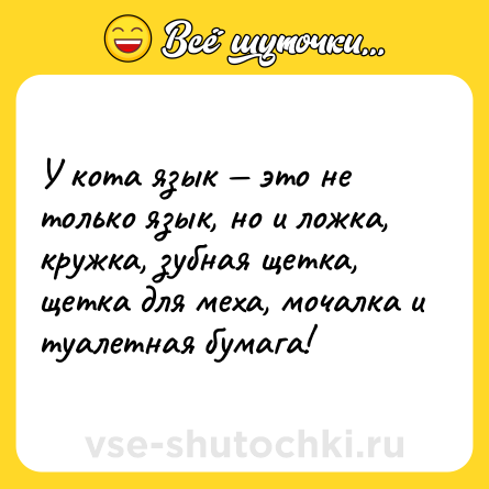Шутка: У кота язык — это не только язык, но и ложка, кружка, зубная щетка, щетка для меха, мочалка и туалетная бумага!