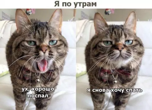 Смешная картинка №422533