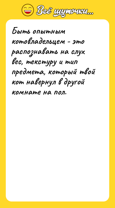 Быть опытным котовладельцем - это распознавать на слух вес, текстуру