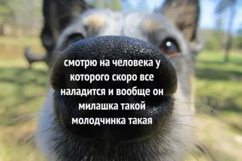 Смешная картинка №768384