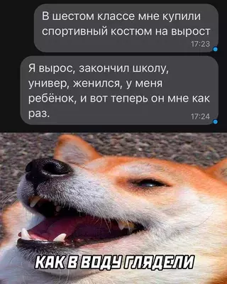 Смешная картинка №674006