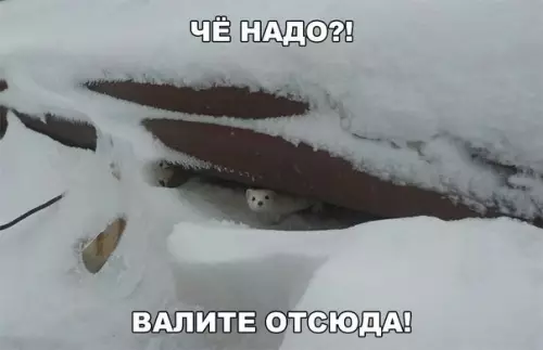 Смешная картинка №229749