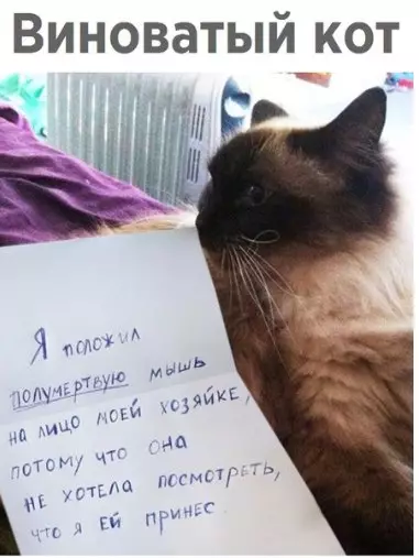 Смешная картинка №224994