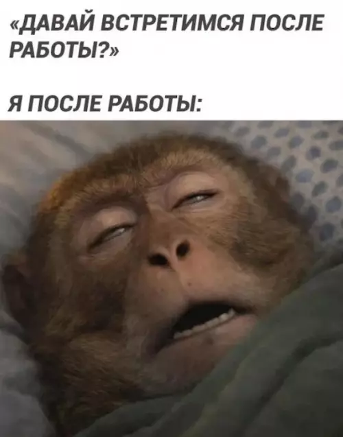 Когда работа — это не только зарплата, но и выживание 😴 - ДАВАЙ ВСТРЕТИМСЯ ПОСЛЕ РАБОТЫ? Я ПОСЛЕ РАБОТЫ:
