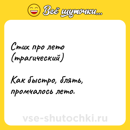 Шутка: Стих про лето (трагический)<br><br>Как быстро, блять, промчалось лето.