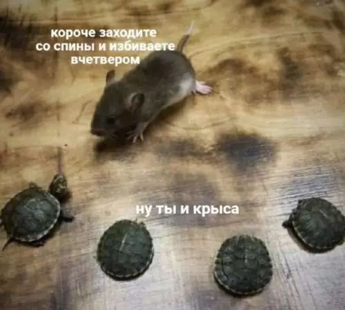 Смешная картинка №680070