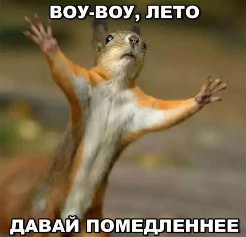 Смешная картинка №290625