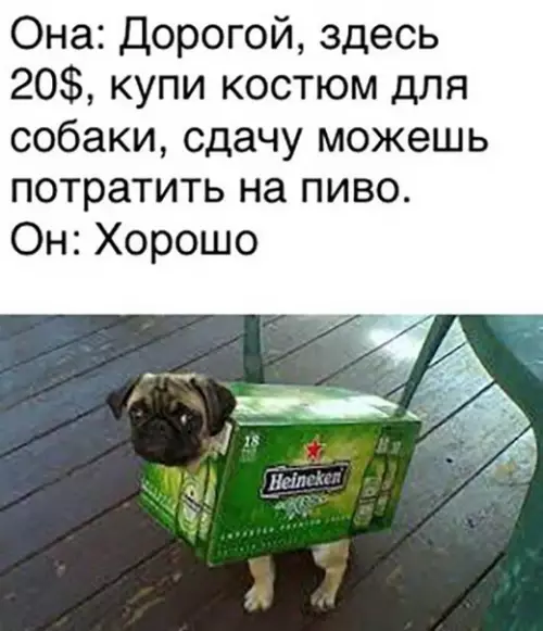 Смешная картинка №351985