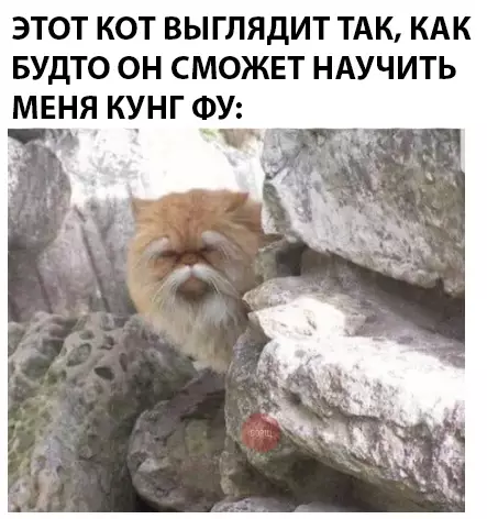 Смешная картинка №299930