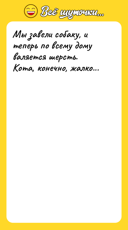 Мы завели собаку, и теперь по всему дому валяется шерсть.