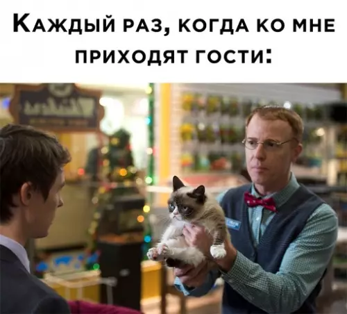 Смешная картинка №665223 гости, коты