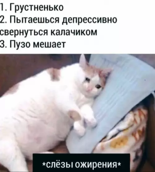 Смешная картинка №542822 Грустно, но вкусно