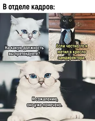 Смешная картинка №685010
