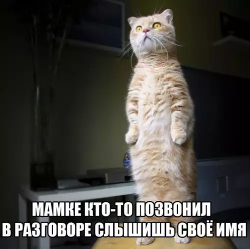 Смешная картинка №191821