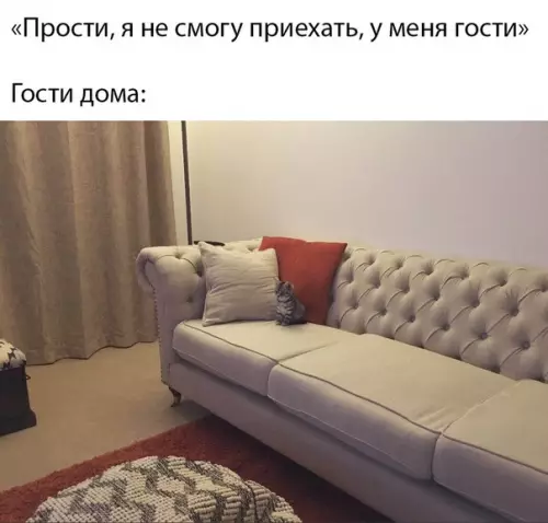Смешная картинка №464654