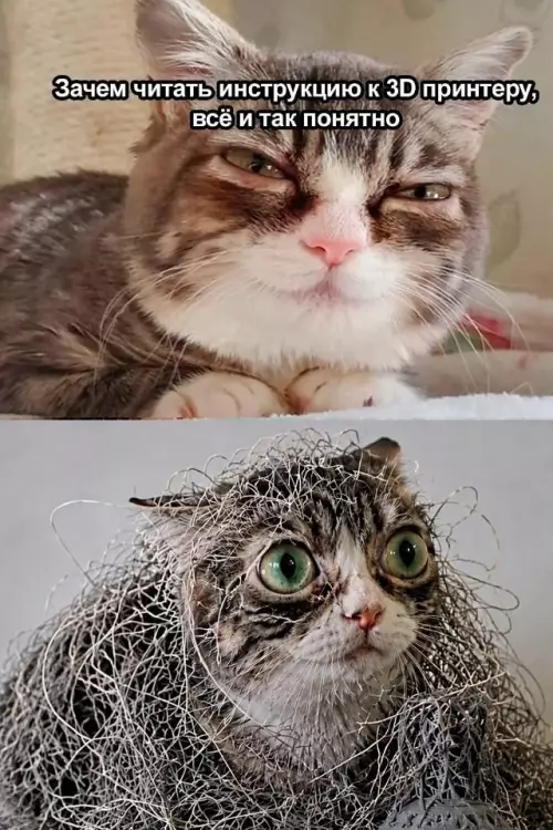 Гений инженерной мысли или просто кот 😺 - Зачем читать инструкцию к 3D принтеру, всё и так понятно