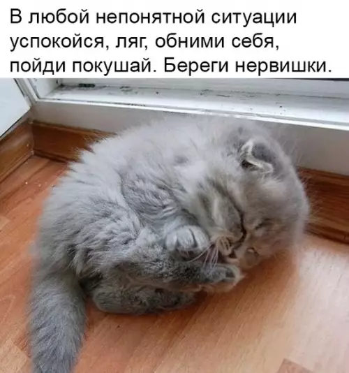 Смешная картинка №337010