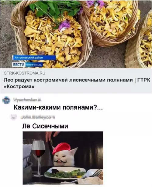 Смешная картинка №665619 Заголовки 