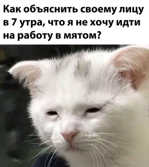 Смешная картинка №534336