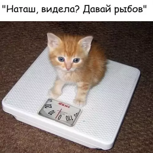 Смешная картинка №788912