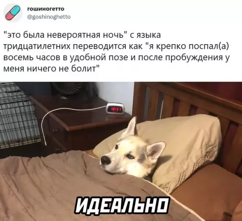 Смешная картинка №595838