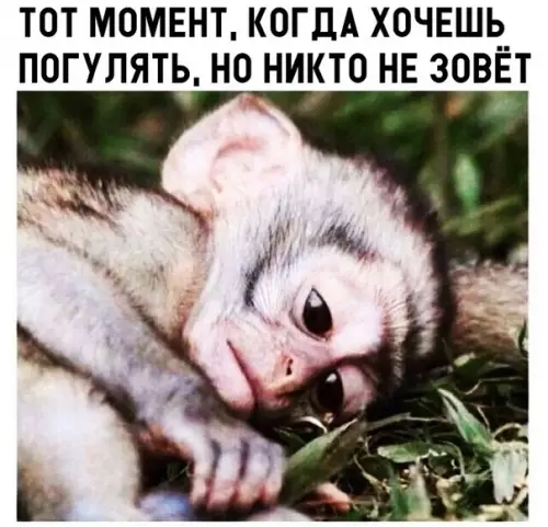 Смешная картинка №299071