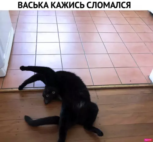 Смешная картинка №352727