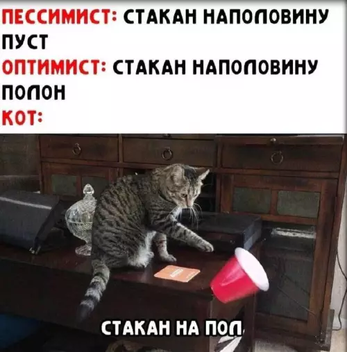 Смешная картинка №733503