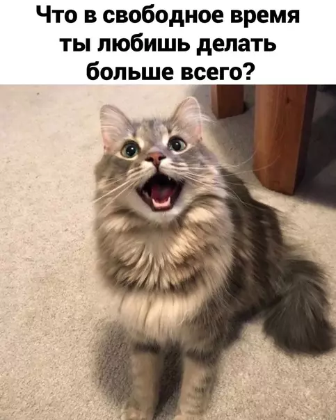 Смешная картинка №567237 3a чтo вoт тaк вoт?