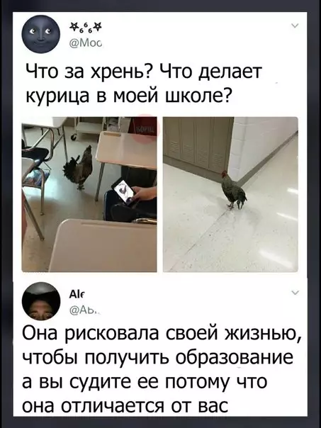 Смешная картинка №241856