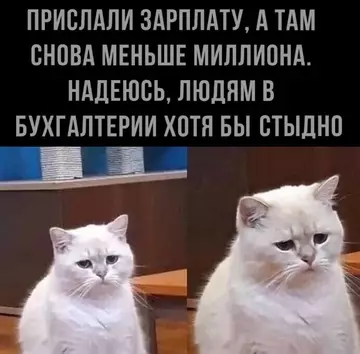 Смешная картинка №740084 зарплата